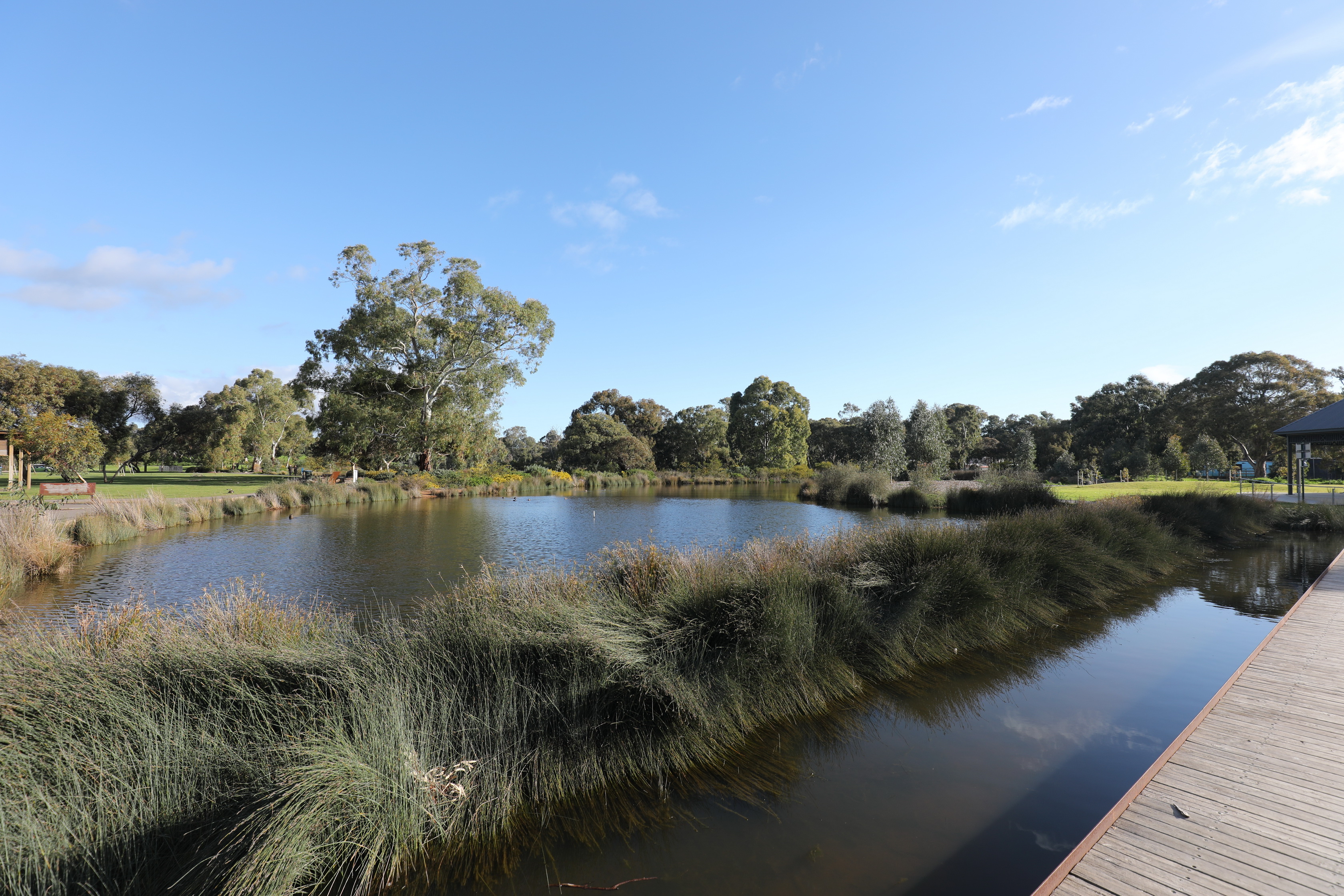 2019 08 25 16 08 57 Canon EOS 5D Mark IV 0012